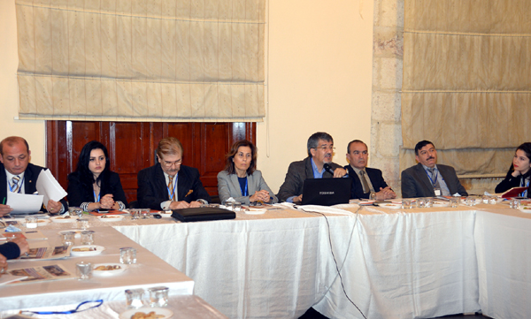 Adana'da ''Göçle Gelenler'' Çalıştayı