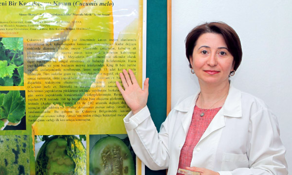 İthal Fidelerle Türkiyeye Yeni Hastalıklar Geliyor