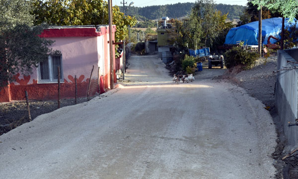 Sarıçam'da yol ve kaldırım hamlesi