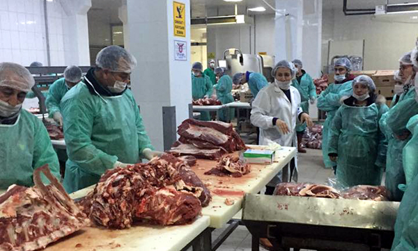 Zootekni Öğrencilerine Et-Süt Kurumunda Uygulamalı Ders