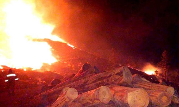 Pozantı'da Orman Yangını