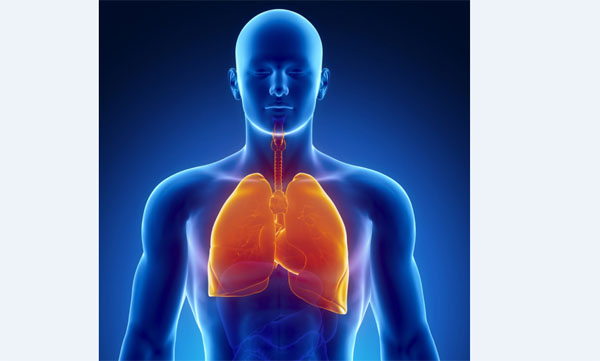 AIDSten sonra verem geliyor