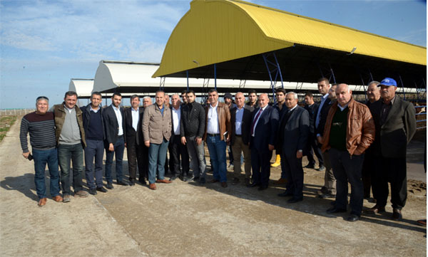 Sözlü, Adana çiftçisinin altyapı sorunu çözülecek