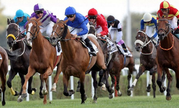 Adana Hipodromu'ndaki Tekeli Kırın?