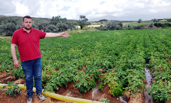 Üretim sizden destek devletten