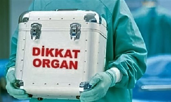 Organ Bağışı Hayat Kurtardı