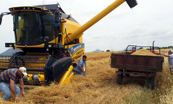 Çukurova Üreticisi Çıkmazda