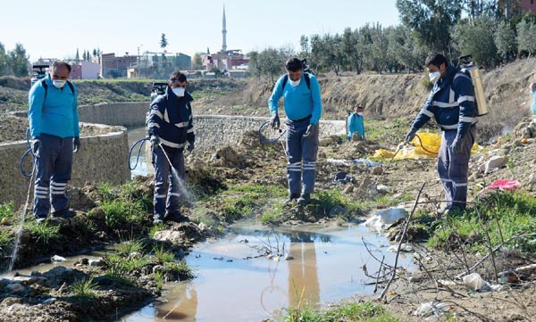 Adanada sinek ve haşereyle mücadele sürüyor