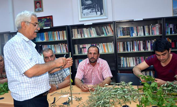 Adanada meyve bahçelerinin sayısı artıyor
