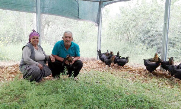 Doğal yumurta biyumurta markasıyla geliyor