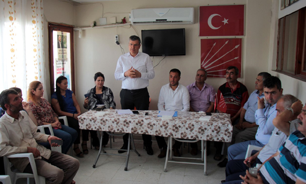 Milli servet ineklere yem oldu