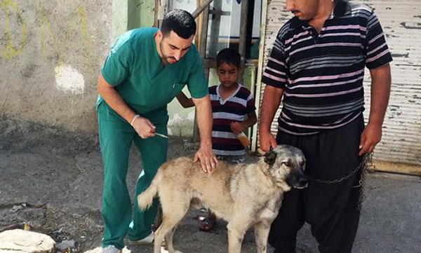 Yüreğirde kuduz hastalığı ile mücadele
