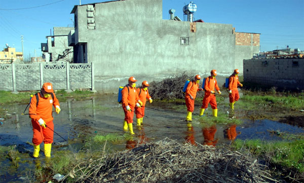 Sivrisinek ve haşereye geçit yok