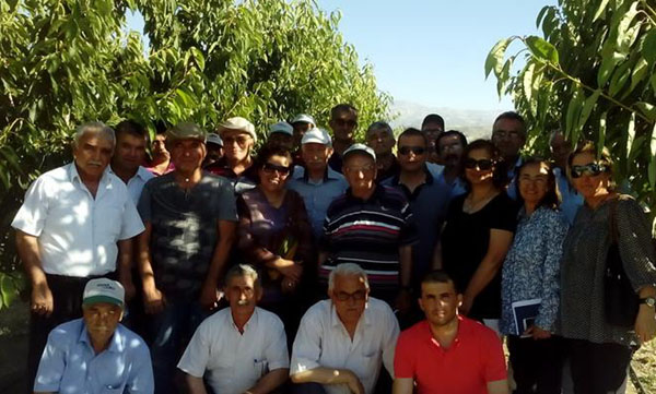 Kiraz üreticileri Niğdeye teknik teknik gezi yaptı