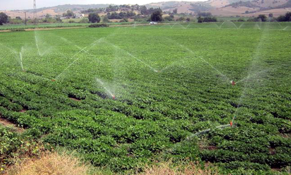 Yedigöze Sulama Projesi Adananın geleceği