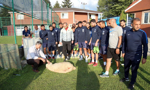 Şimşek kurban kesti