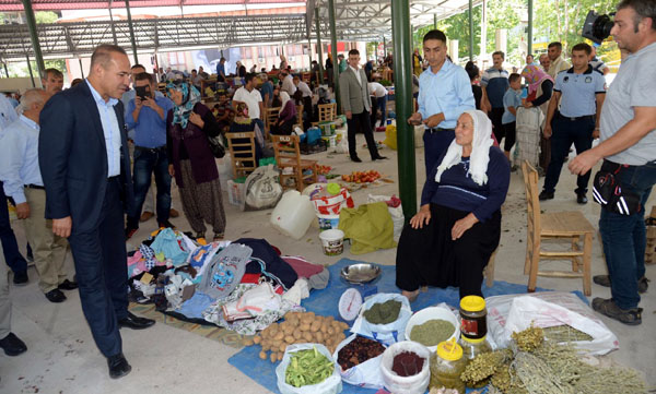 Saimbeyli yeniden üzüm diyarı oluyor