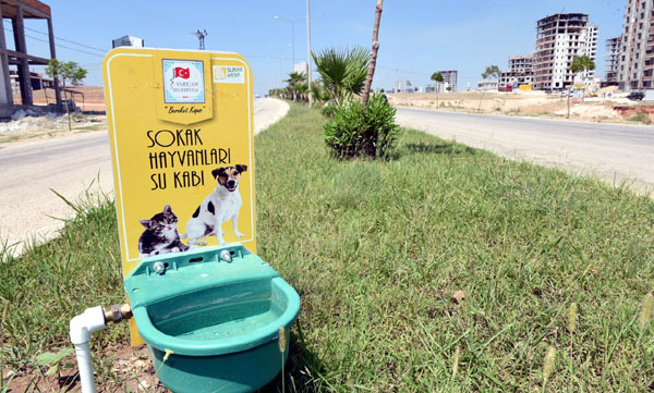 Sokak hayvanları susuz kalmayacak