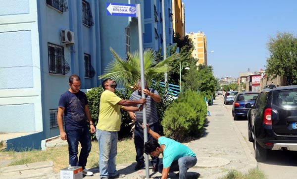 Yüreğir'de adres bulmak artık daha kolay