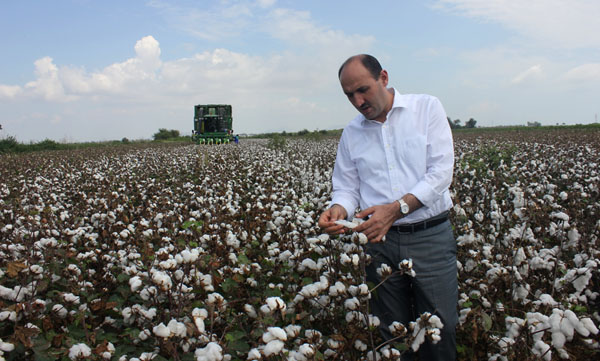 Karataş kütlü üretiminde birinci