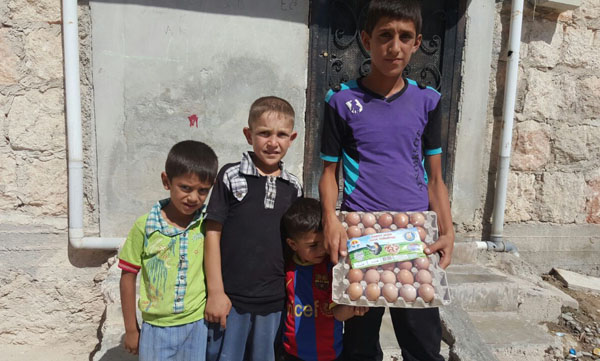 Büyükşehirin doğal yumurtaları Cerablusta 