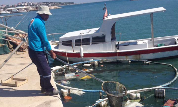 Balıkçı barınağı temizlendi