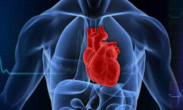 Kalp cerrahları Adana'nın kalbini tartıştı