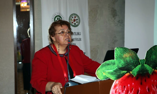 Türkiye Çilek Üretiminde Dünyada 3. Sırada