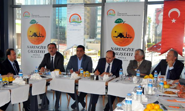 Narenciye üretiminin yüzde 30’u Adana’dan
