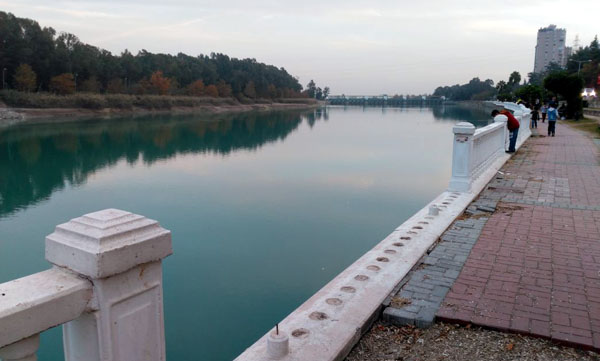 Dilberler Sekisi S.O.S veriyor