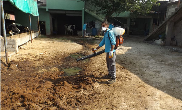 Büyükşehir sivrisinekle mücadeleyi kışın başlattı