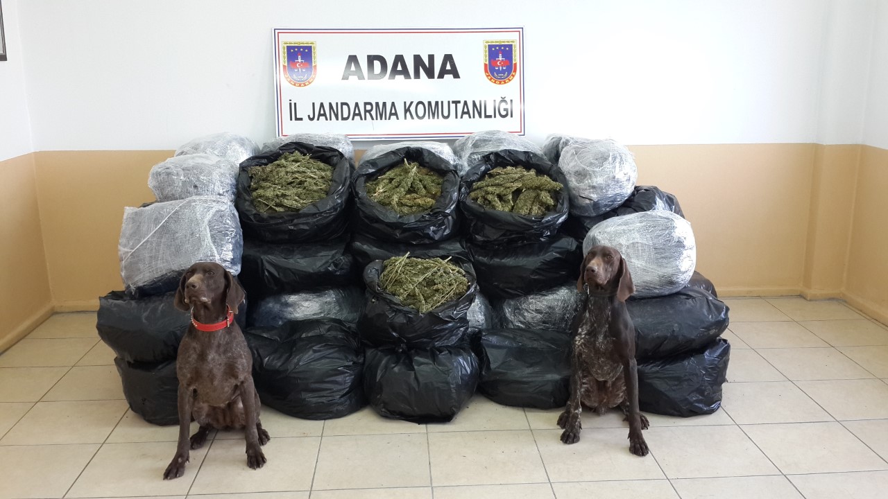 Adana'da 77 kilo esrar ele geçirildi