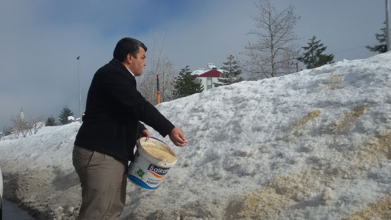 Yaban hayvanları için doğaya yem bırakıldı

