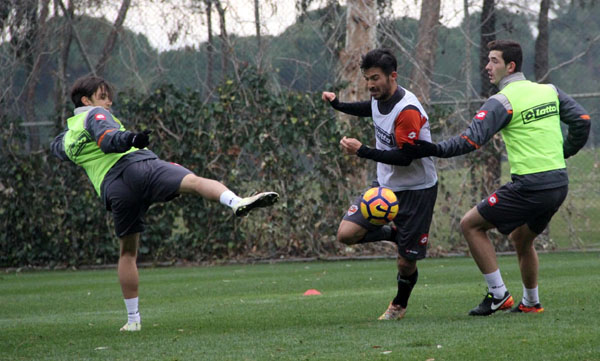 Kaplan çabukluk çalıştı