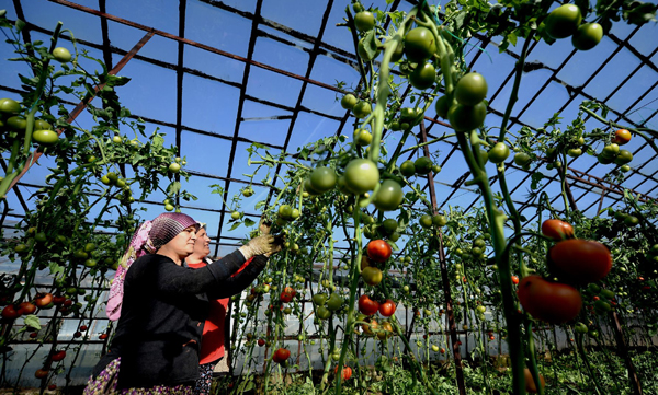 En fazla sera Antalya, Mersin ve Adana’da
