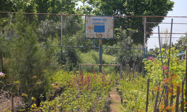 Basket sahamızı istiyoruz