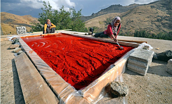 Fotoğraf sanatçıları deklanşöre Orhan Kemal için bastı