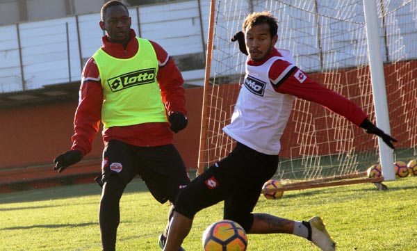 KAPLAN RÖVANŞI ALMAYA HAZIR