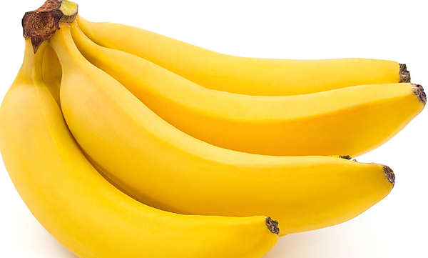 TAHIL AMBARINDA MUZ ÜRETİMİ