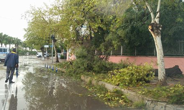 Adana'da fırtına uyarısı