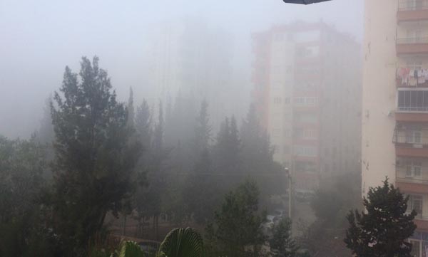 Adana'da sis etkili oluyor