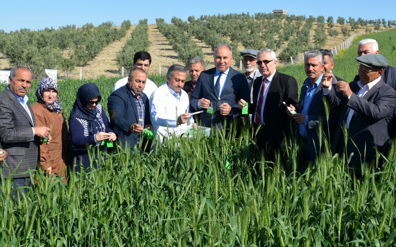 Bilgiç, “Zararlı böcekleri, faydalı böceklerle yok ediyoruz”