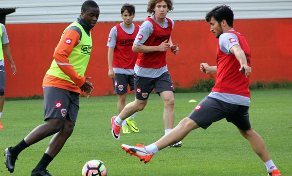 Kaplan Ankara yolcusu