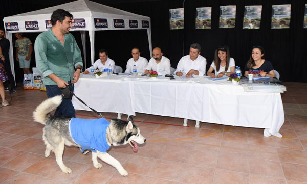 Çukurova'da ''Köpek Güzellik Yarışması'' yapıldı
