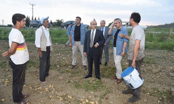 Vali Demirtaş, Tarım İşçilerinin Sorunlarını Dinledi