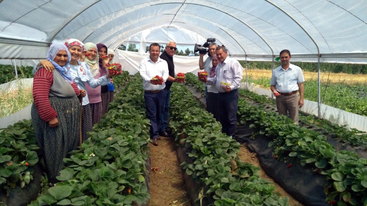 Aladağlı köylüler çilekle güldü