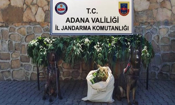 Adana'da uyuşturucu operasyonu