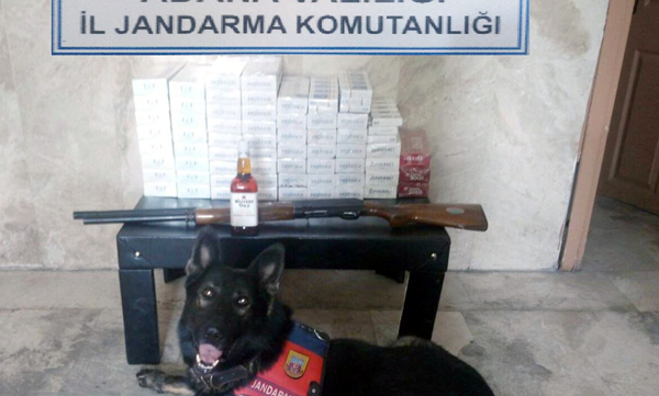 Jandarmadan uyuşturucu operasyonu