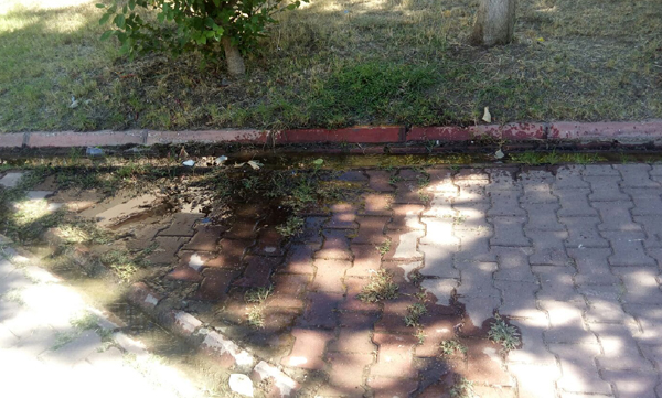 Hayal Park bakımsız!