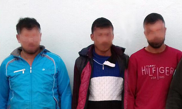 Kuş katliamı yapanlara operasyon